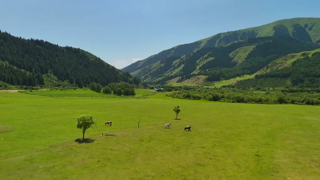 Кыргызстан весной 2026: Тюльпаны, Горы и Маршруты