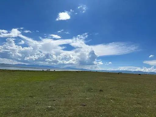 Лошади гуляют вдоль озера Сон Куль