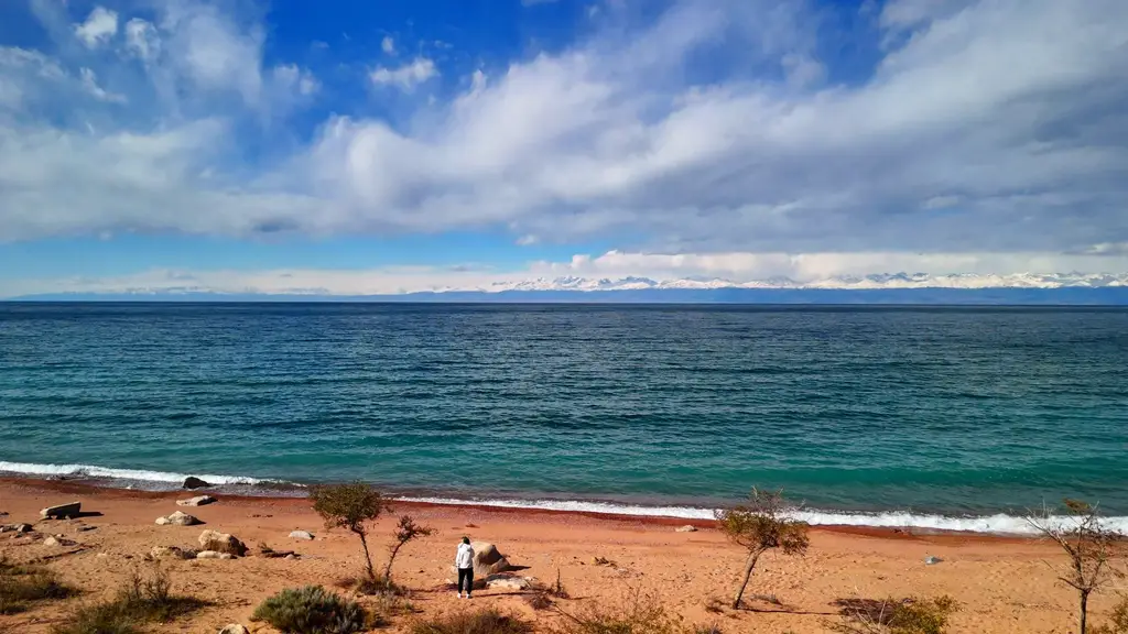 Золотистый пляж озера Иссык Куль с видом на снежные горные хребты